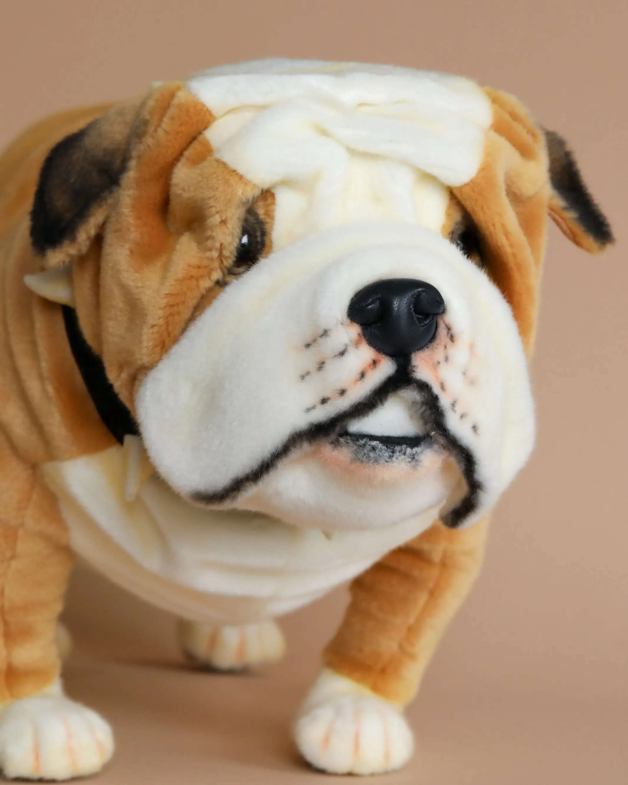 British Bulldog Stuffed Animal