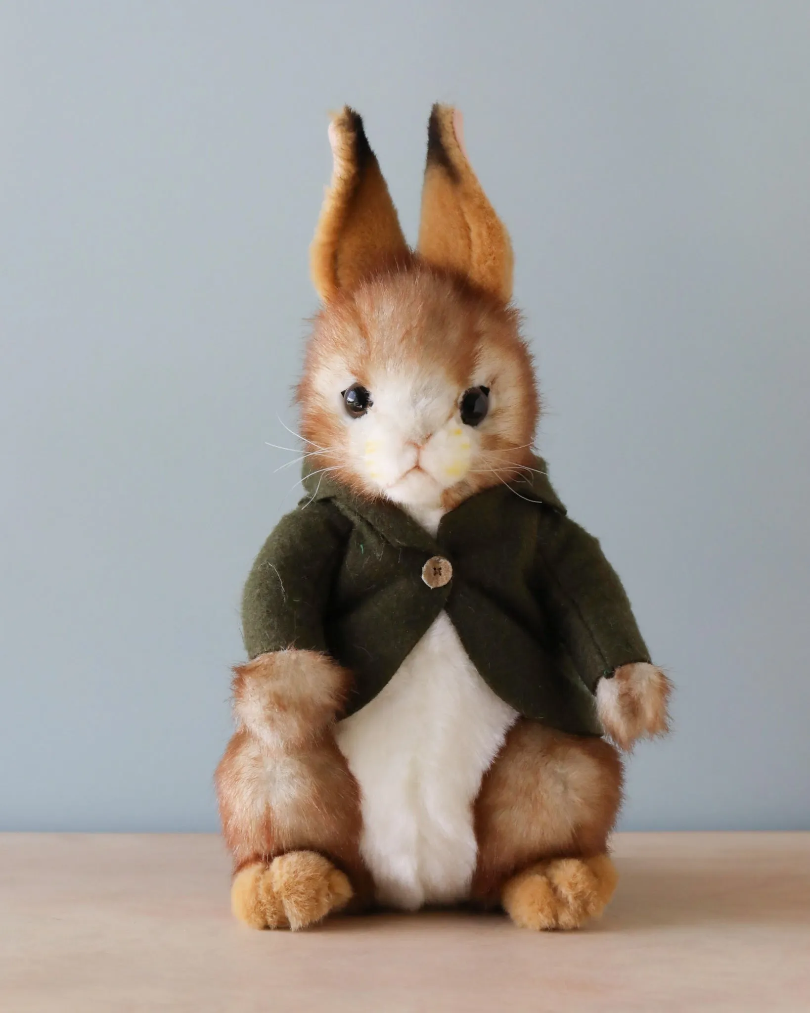 Bunny With Green Jacket Stuffed Animal