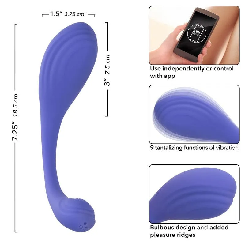 Calexotics Connect Kegel Exerciser