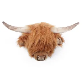 Highland Cow Nicolas