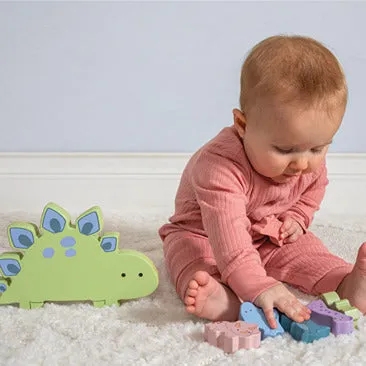 LittleWood Dinosaur Blocks