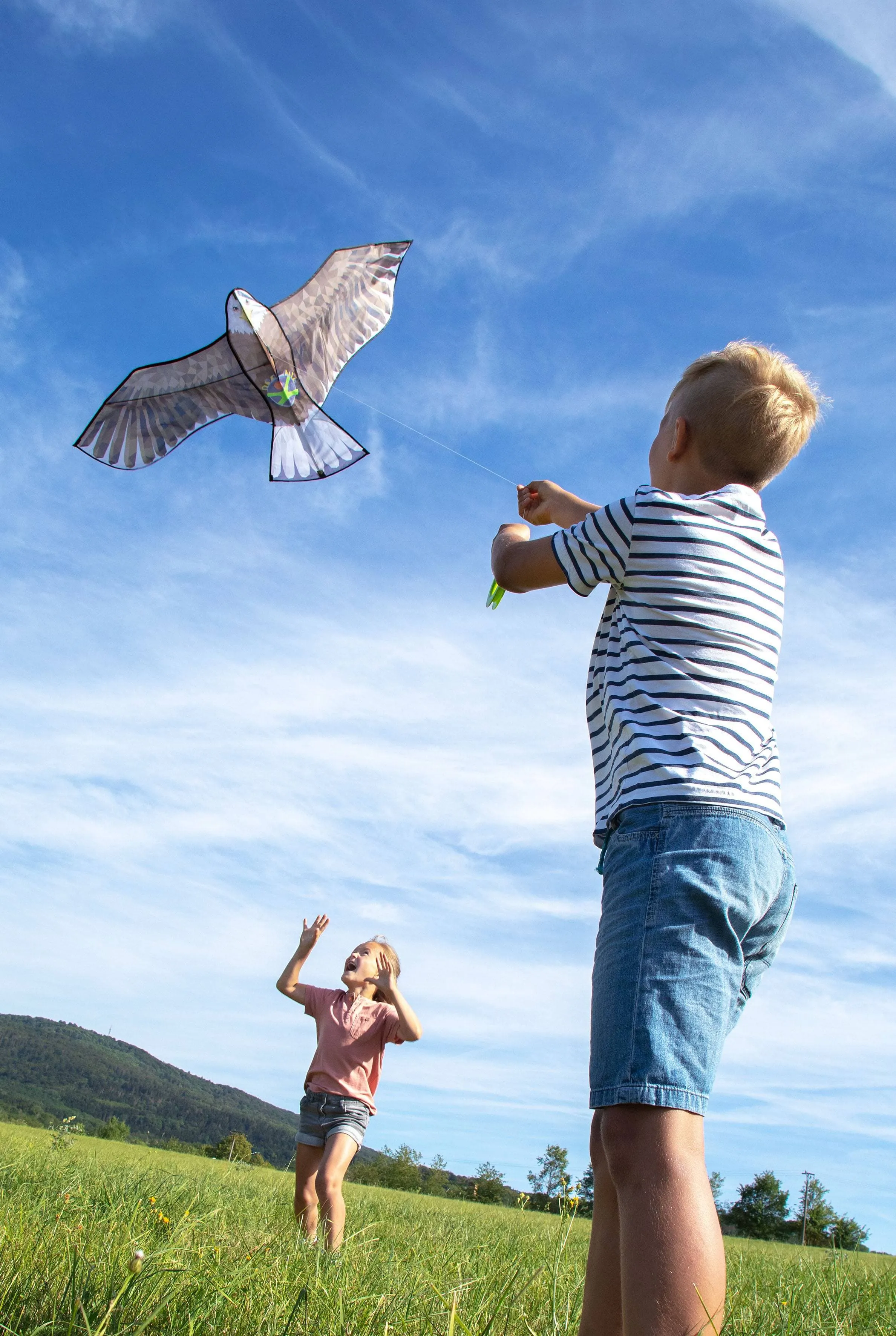 Terra Kids Bald Eagle Kite